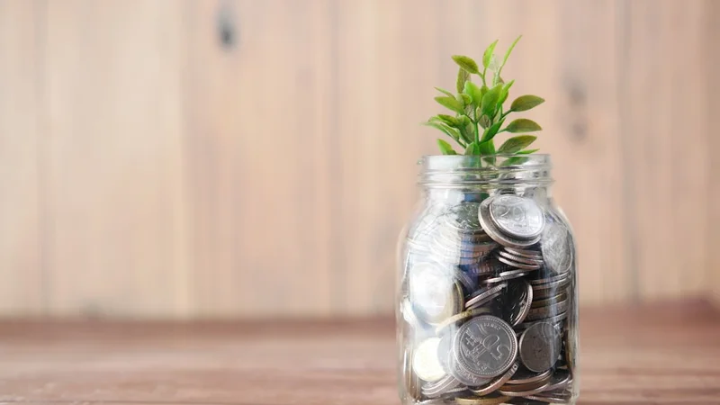 A pair of hands holding a small green plant with golden hour light, suggesting growth and patience over time
