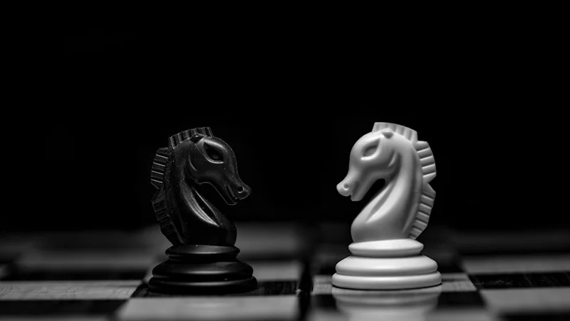 The Art of Learning by Josh Waitzkin beside a chess board and a martial arts training journal, representing mastery across domains