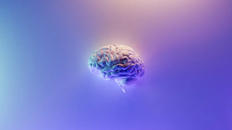 Brain scan illustration showing neural activity patterns during narrative absorption, warm scientific visualization
