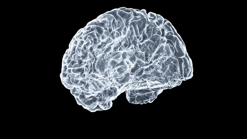 brain scan showing motor cortex activation during mental imagery compared to physical movement