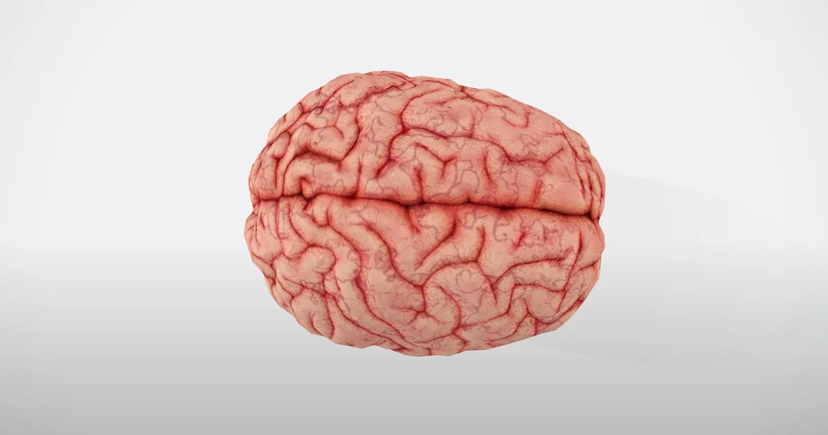 Why Your Brain Invents Reasons for Your Feelings