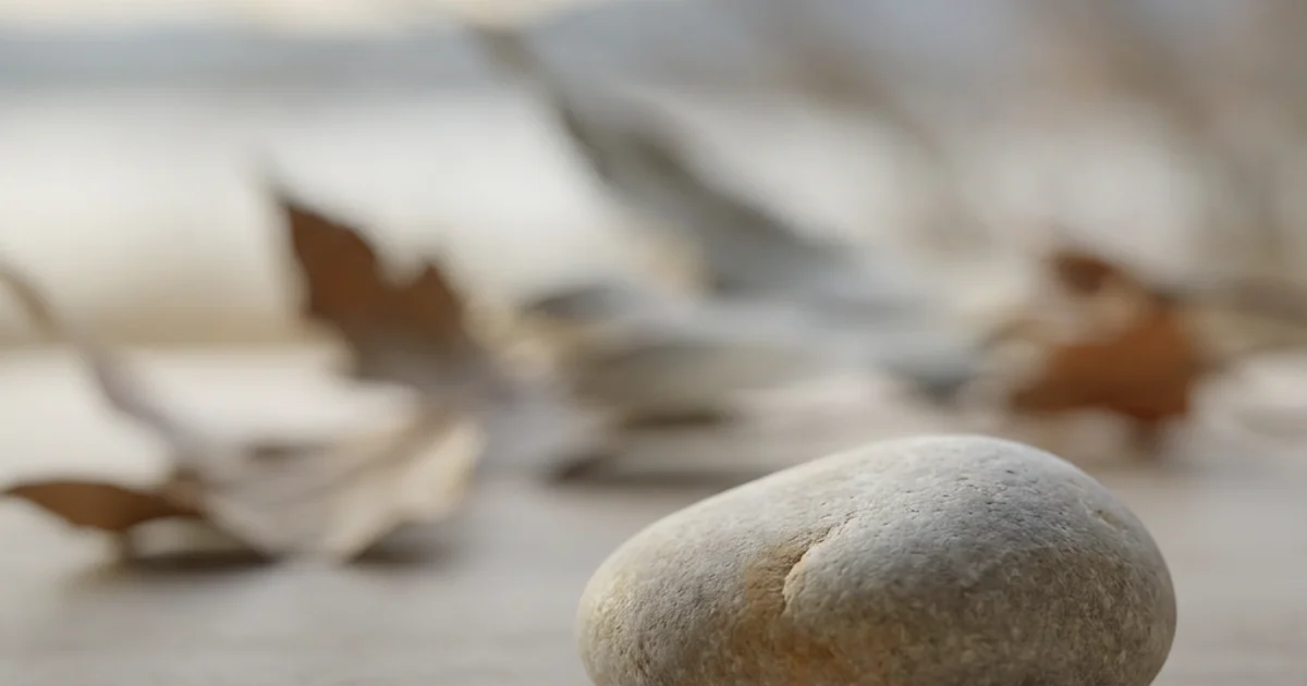 How to Stay Grounded When Life Falls Apart