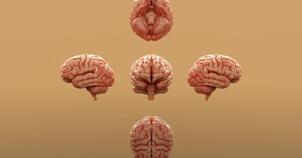 What Grief Does to Your Brain — You're Not Broken