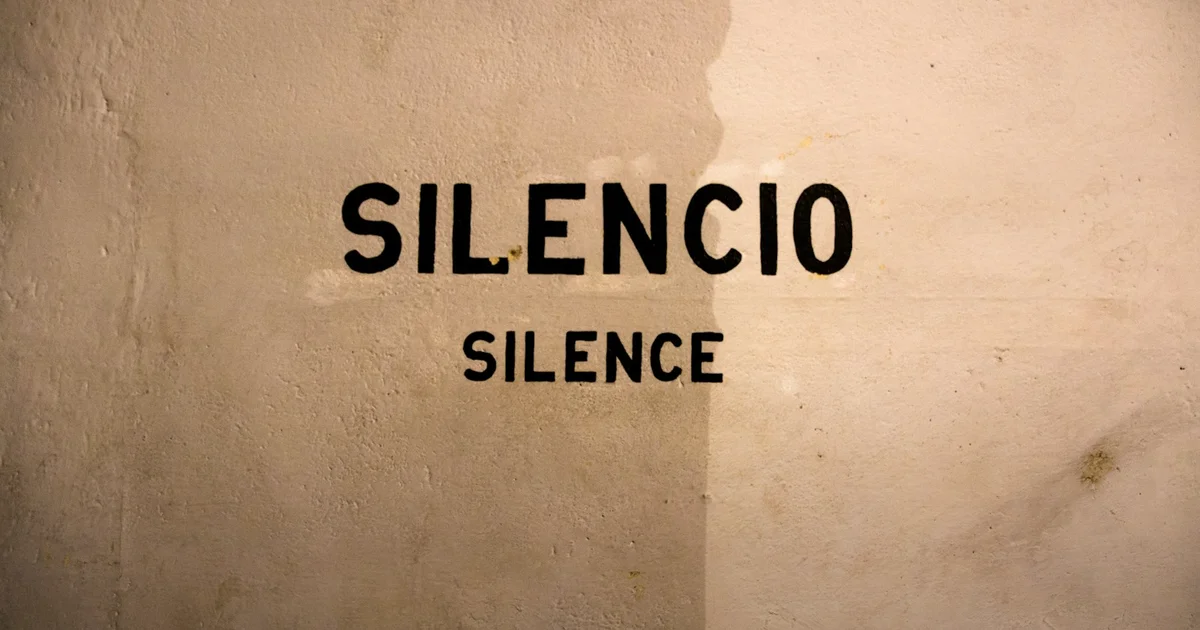 What Silence Does to Your Brain: The Neuroscience of Quiet